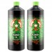 Buddhas Tree Coco A&B 