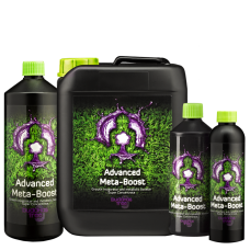 Buddhas Tree Advanced Meta Boost 