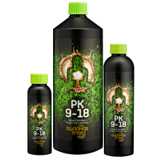 Buddhas Tree PK 9-18