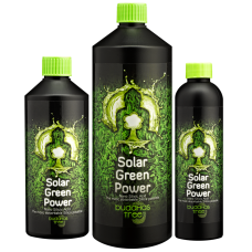 Buddhas Tree Solar Green Power 