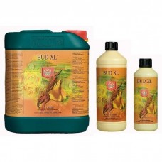 House And Garden Bud XL House And Garden Bud XL