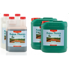 Canna Aqua Flores A&B