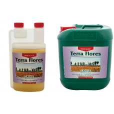 Canna Terra Flores  Canna Terra Flores