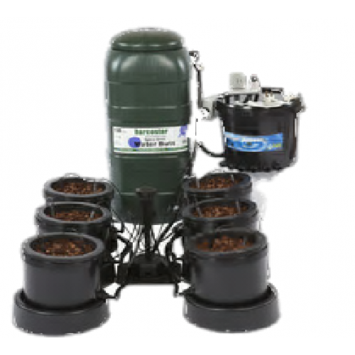 IWS 6 Pot Dripper System
