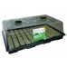 Rootit Propagator with 77 Rockwool Tray