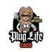 Plug Life Coco Plugs 24 Tray 