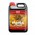 Shogun Dragon Force